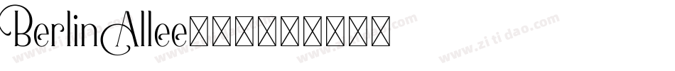 Berlin Allee转换器字体转换